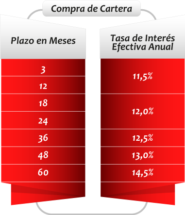 Fehol-CompraCartera-2024