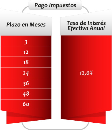 Fehol-Impuestos-2024